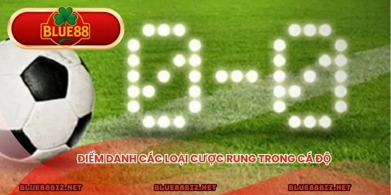 Điểm danh các loại cược rung trong cá độ