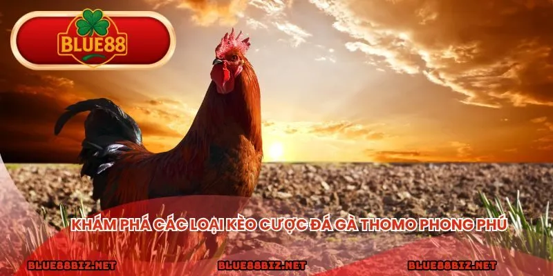 Khám phá các loại kèo cược phong phú 