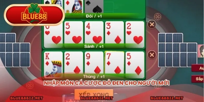 Nhập môn cá cược đỏ đen cho người mới