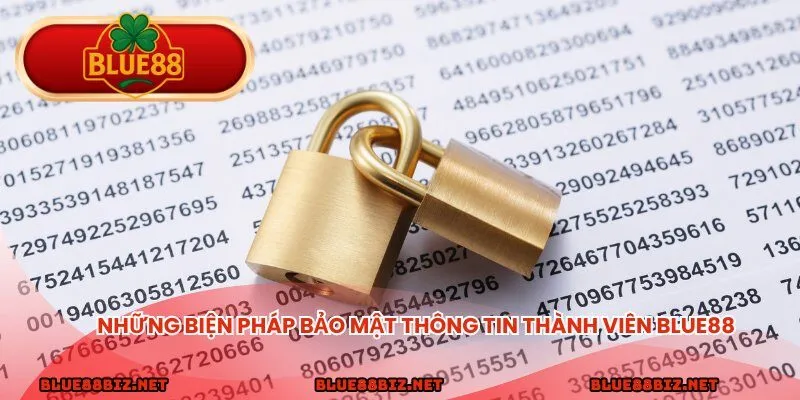 Những biện pháp bảo mật thông tin thành viên BLUE88 