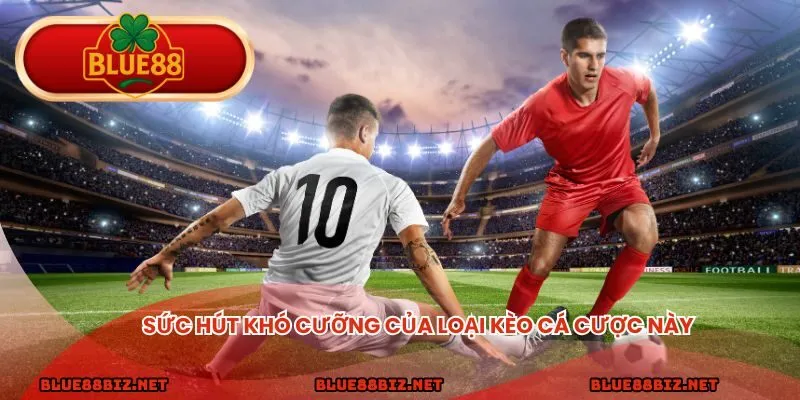  Sức hút khó cưỡng của loại kèo tài xỉu