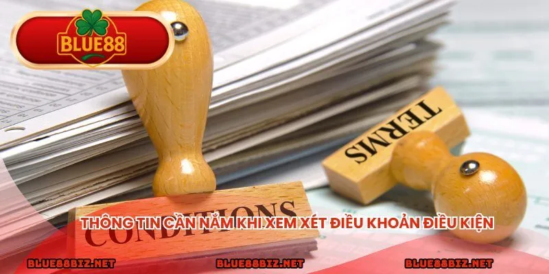 Thông tin cần nắm khi xem xét điều khoản điều kiện