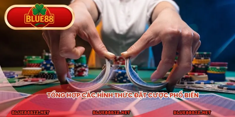 Tổng hợp các hình thức đặt cược phổ biến 