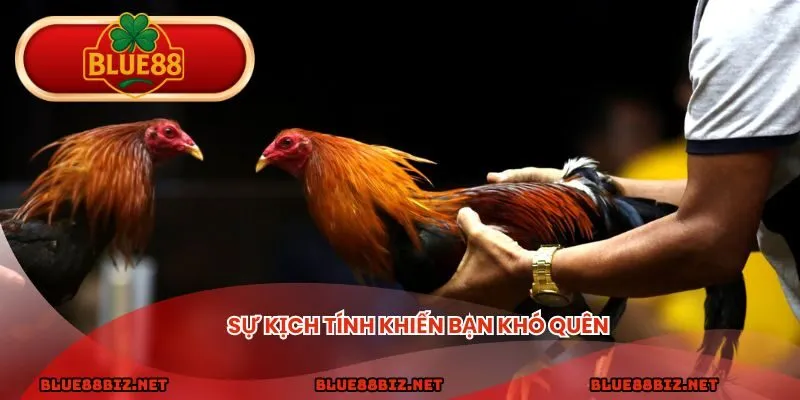 Sự kịch tính khiến bạn khó quên